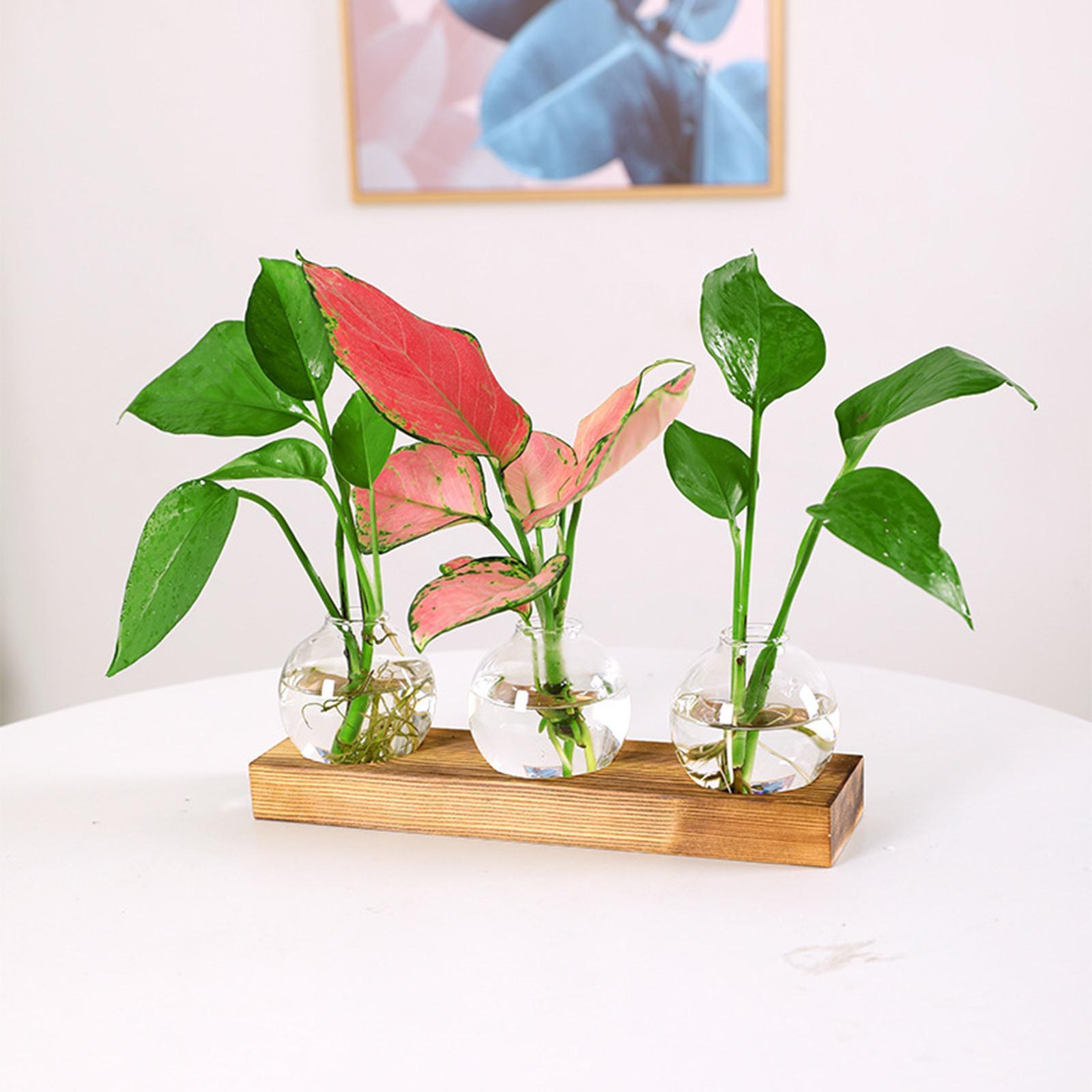 Glass Vase Transparent Bottle Propagation Terrarium for Home Cabinet Decor