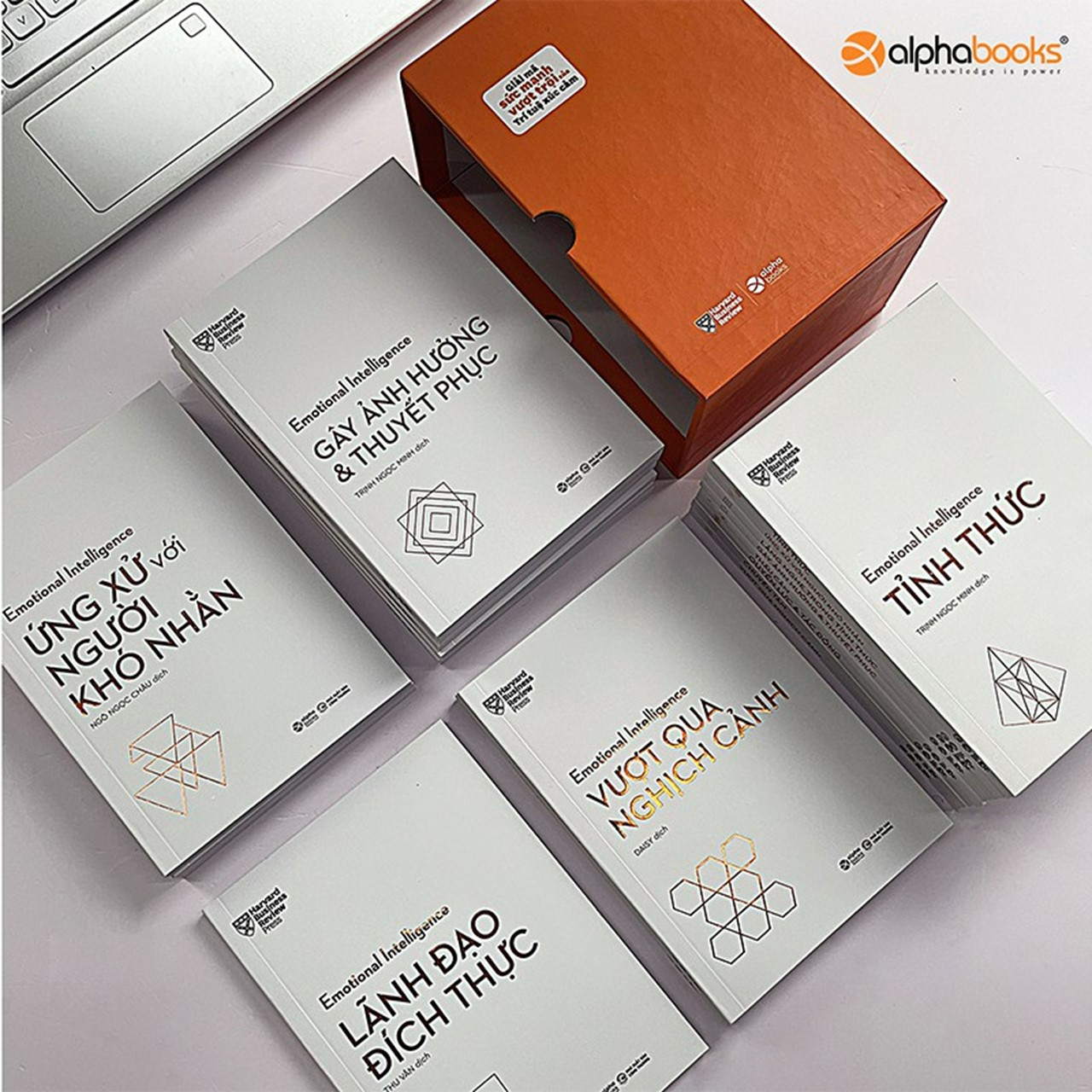 Sách - HBR Trí Tuệ Xúc Cảm – Emotional Intelligence (Bộ 10 Cuốn)