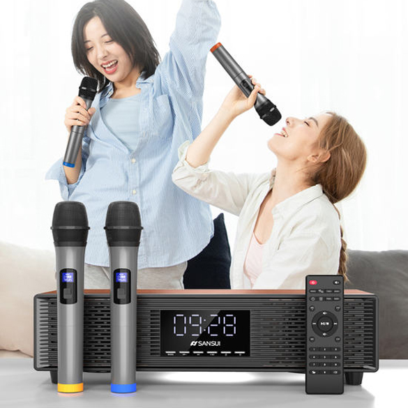 Loa karaoke Sansui P500 nguồn 12V có kèm 2 micro - âm thanh như loa thùng (nhiều màu) HÀNG NHẬP KHẨU