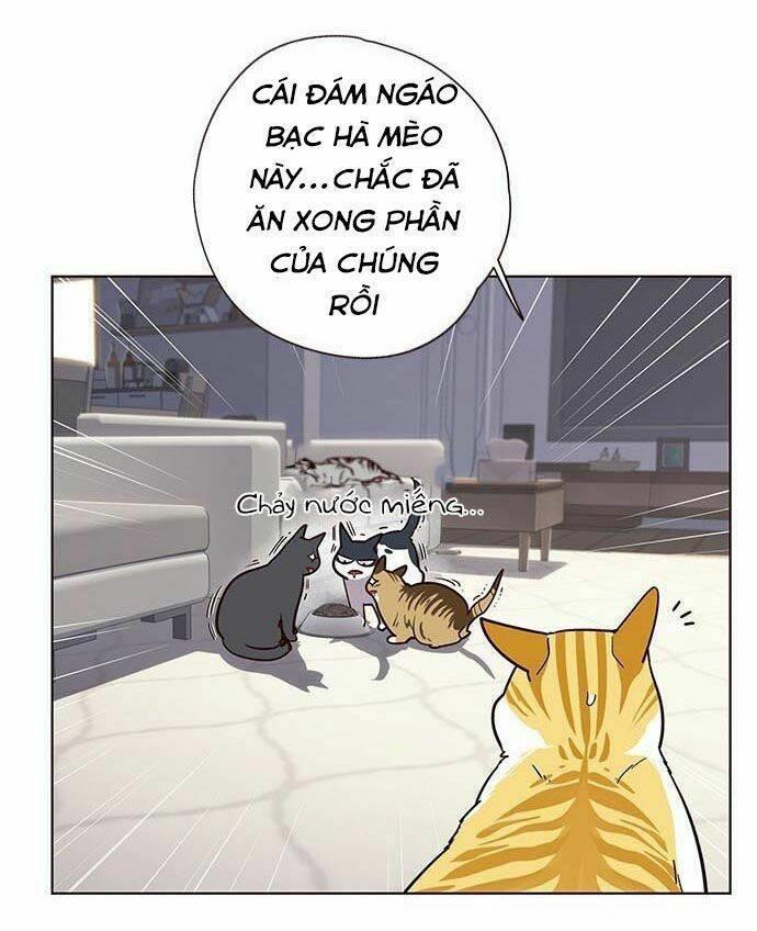 biến thân thành mèo chapter 9 34