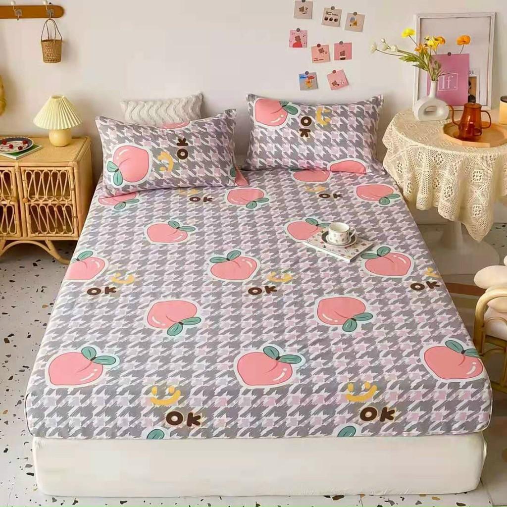 Ga gối cotton mẫu kẻ hàn quốc đủ size