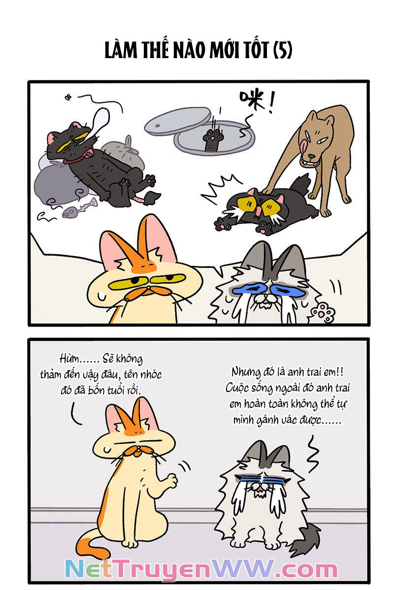 a mãn và mạch trà chapter 39.1 3