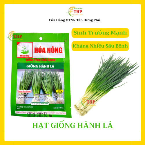 Hạt giống Hành Lá | Hạt Giống | Gói 1gr