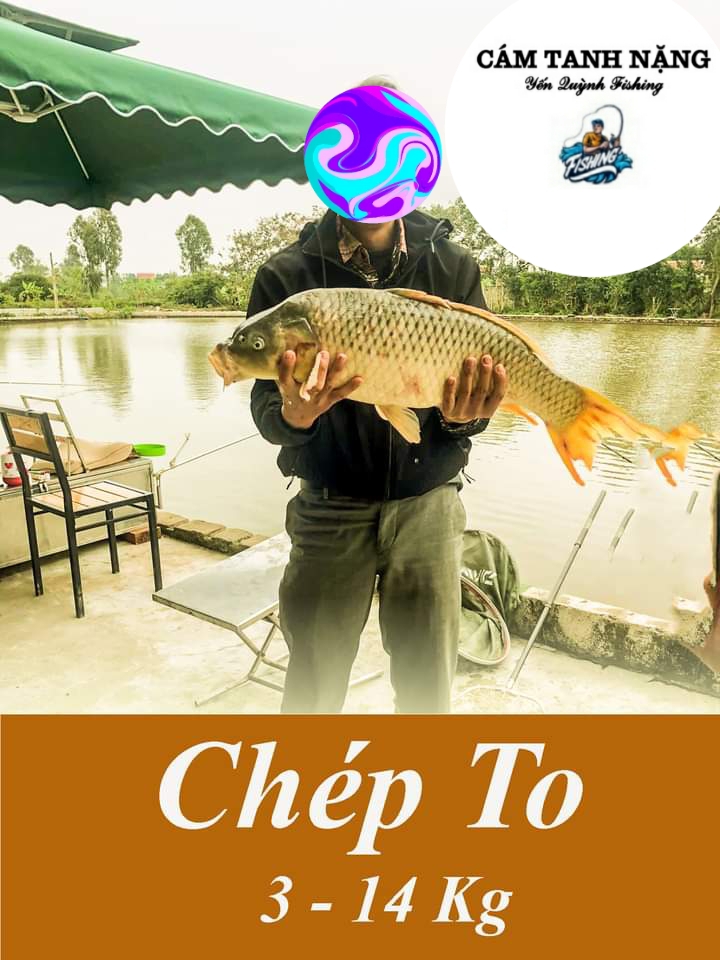 Chất Tanh Nặng làm Mồi câu cá
