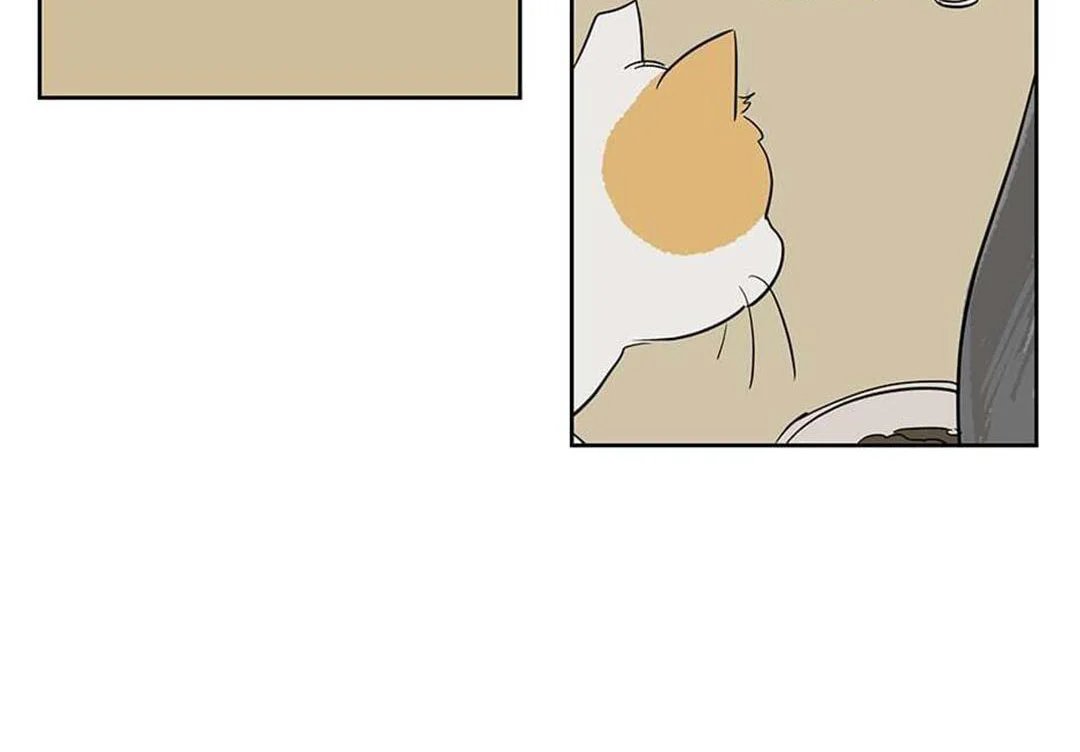 chuyện quái gì với giấc mơ đó vậy chapter 41 14