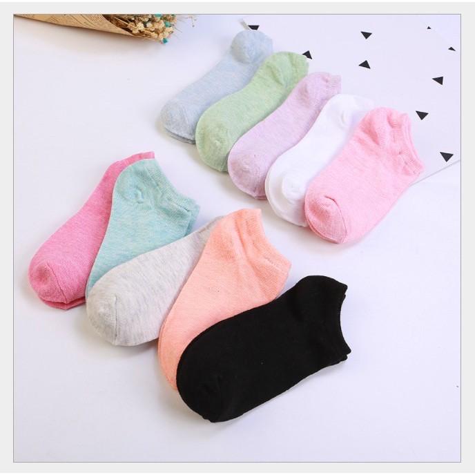 Vớ Nữ Xuất Khẩu Cotton 100% Co Giãn Nhiều Màu