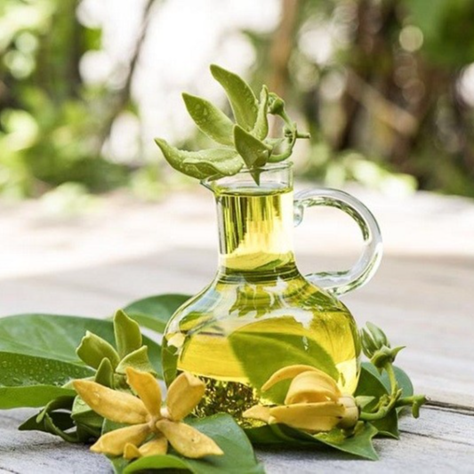 Tinh dầu hoa Ngọc Lan Tây nguyên chất từ thiên nhiên, xông phòng, khử mùi, thơm phòng, đuổi muỗi - KingOil