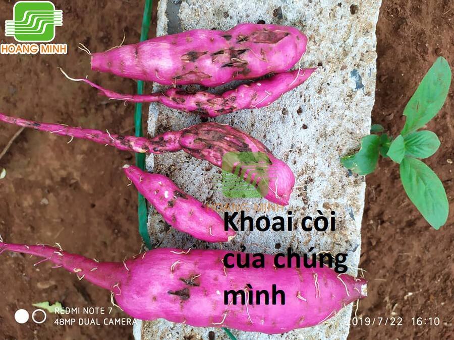 sự lụi tàn của usuzumi chapter 100 76