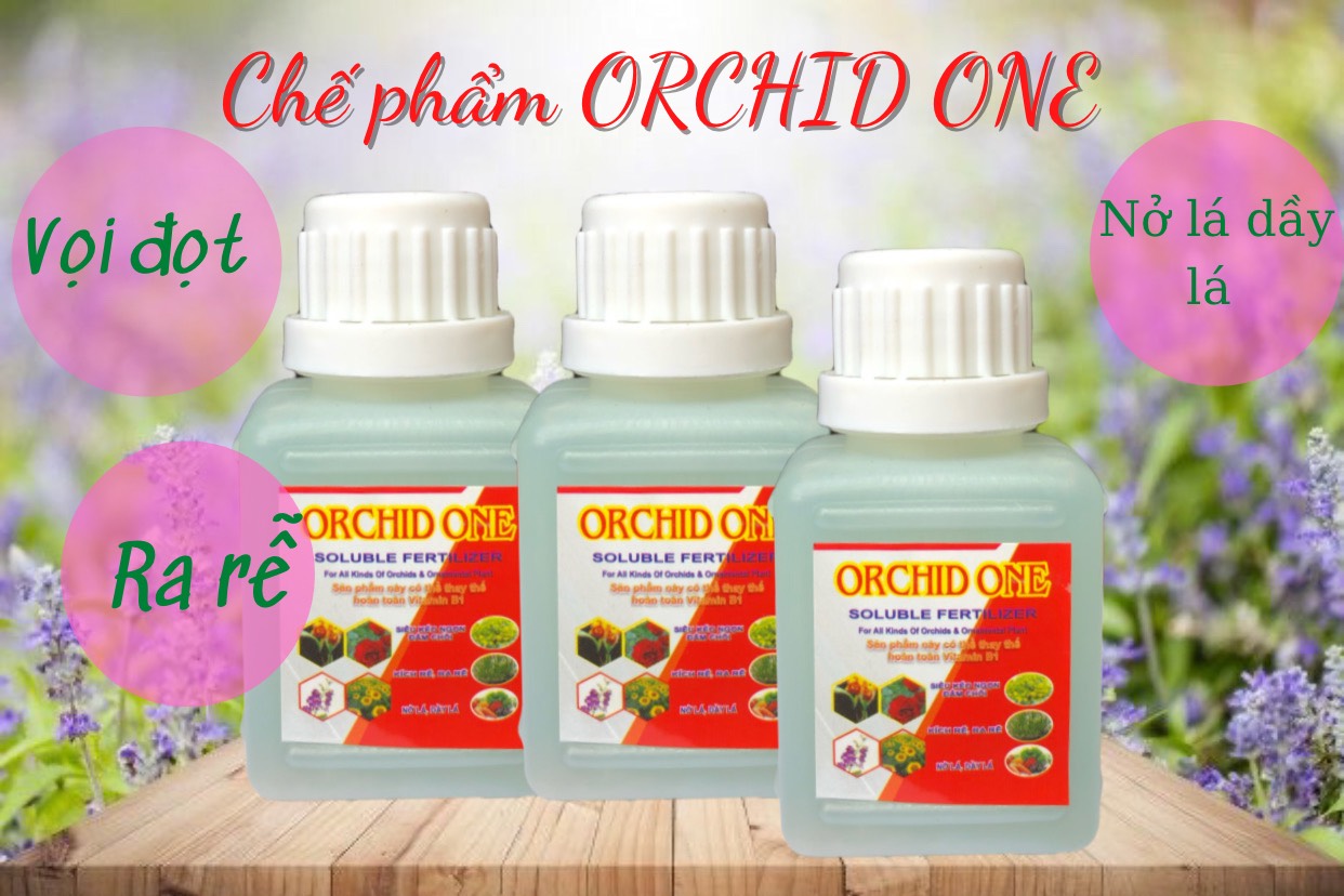 Orchid One kéo dài đọt, kích rễ phong lan, hiệu quả trên tất cả các loại lan chai 50 ml