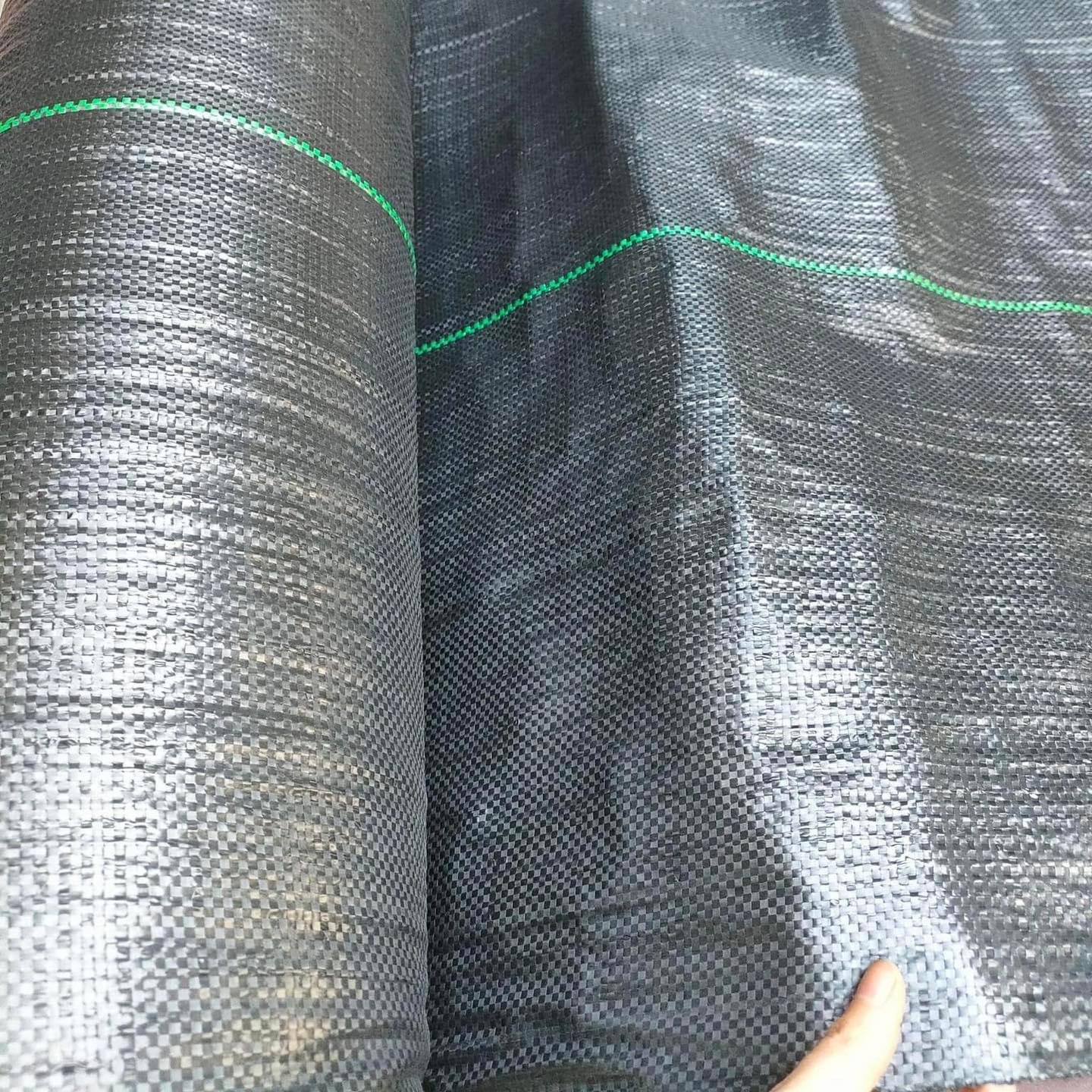 Màng phủ chống cỏ dại 2m độ bên lên đến 5 năm