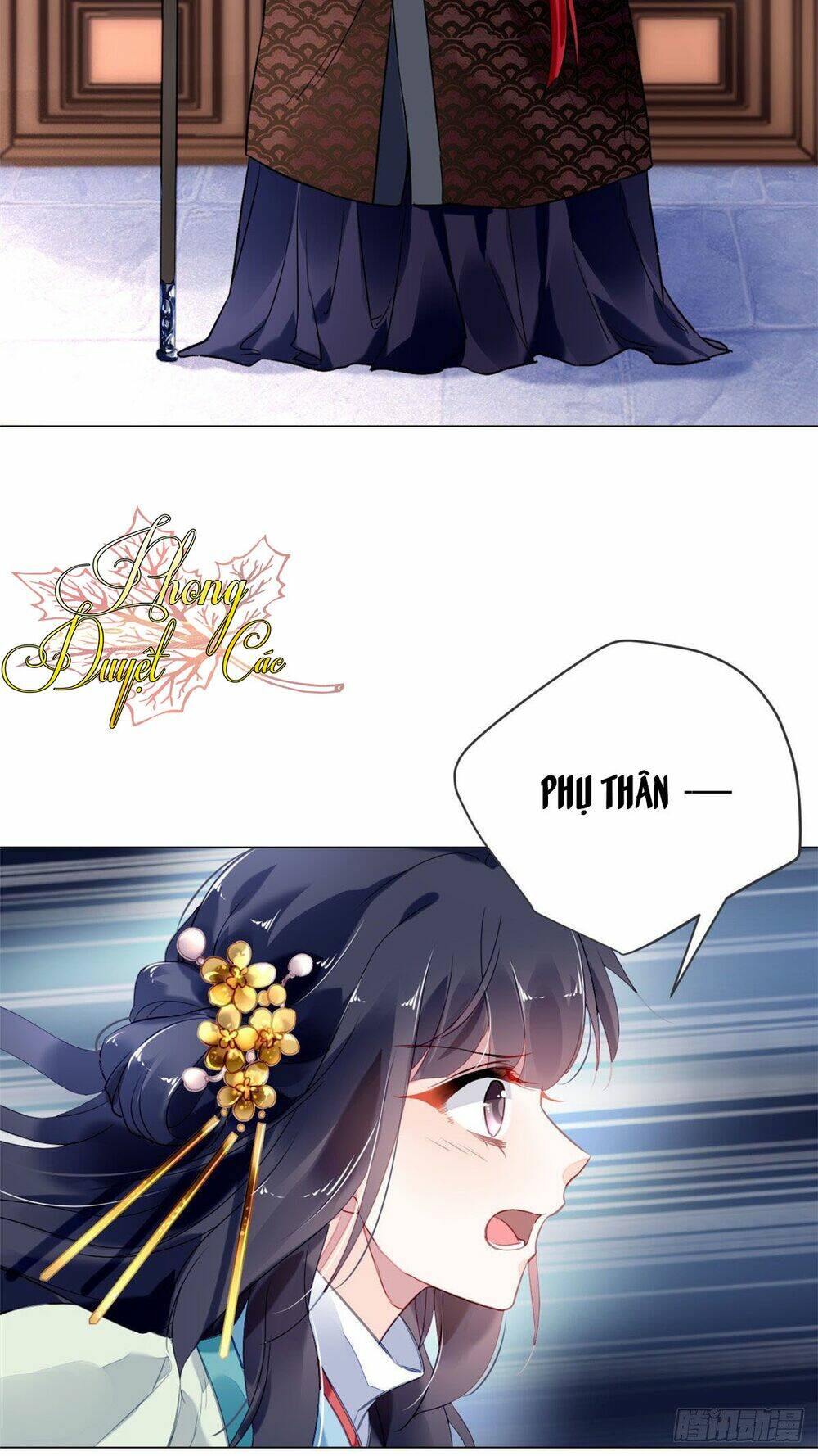 vấn đan chu chapter 11 22