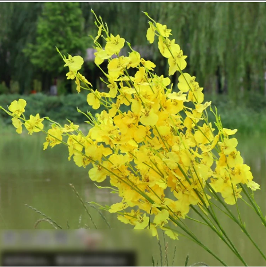 Nhánh lan vũ nữ giả dài 96cm, GIÁ BÁN 1 NHÁNH KHÔNG KÈM BÌNH