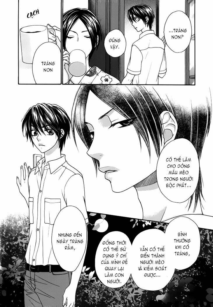 nekoka danshi no shitsukekata chapter 2 11