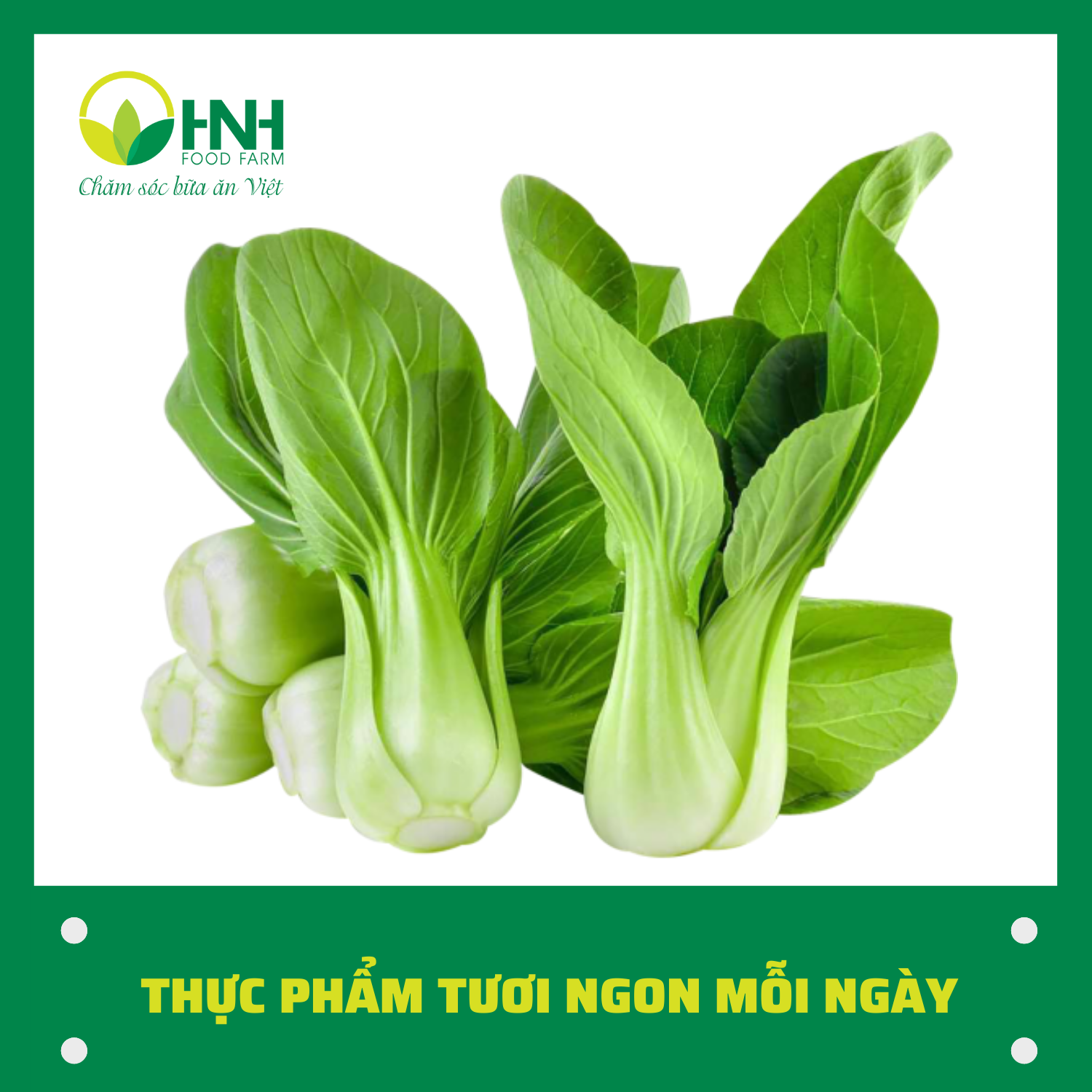 Combo 02kg Cải chíp ngon sạch - HNH Food Farm