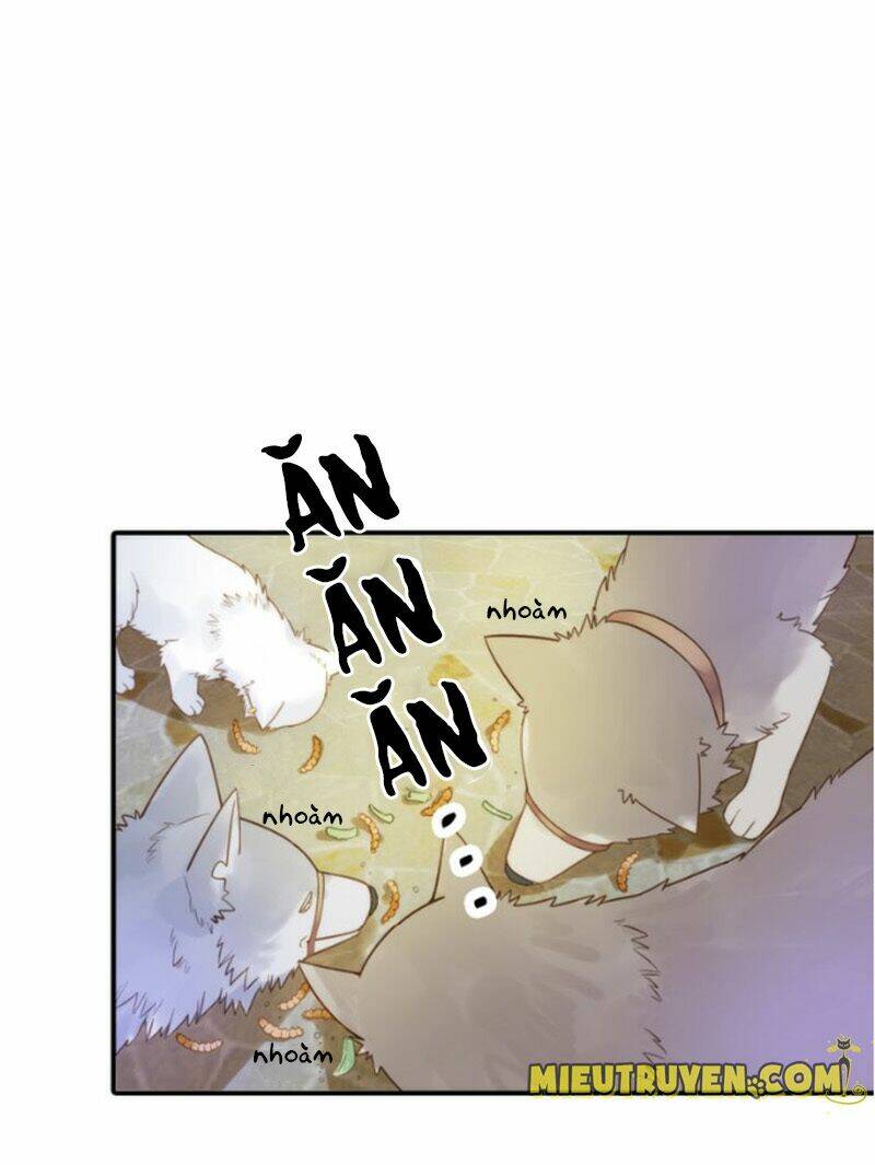 cướp chàng vợ về đón năm mới chapter 10 26