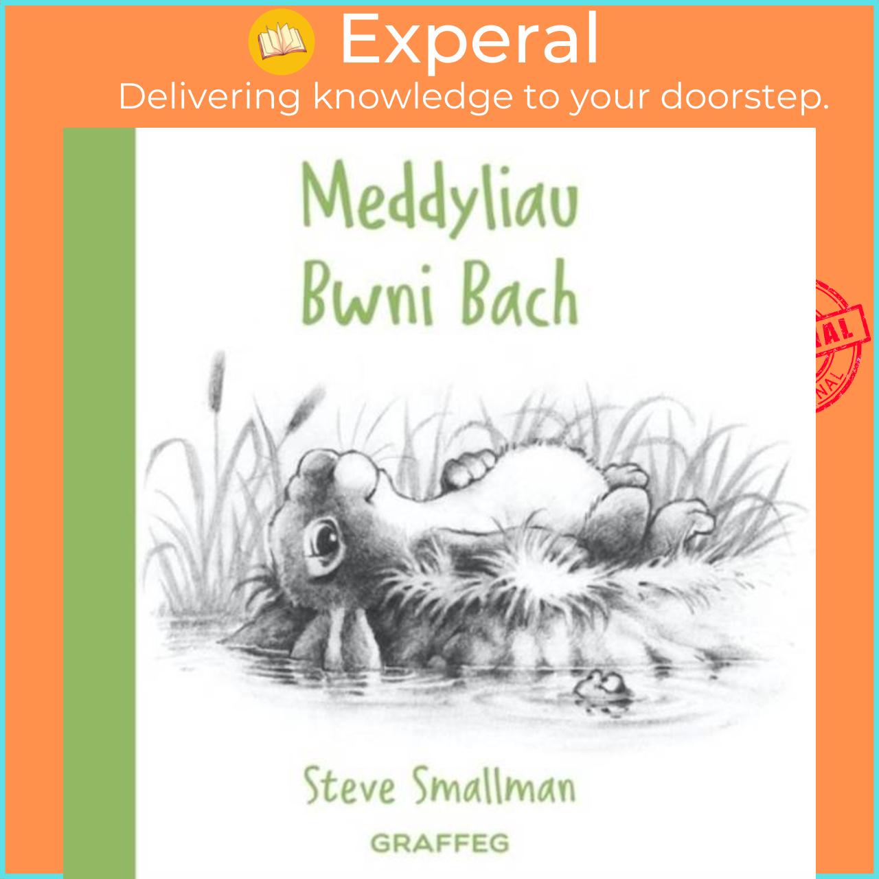 Sách - Meddyliau Bwni Bach by Steve Smallman (UK edition, hardcover)