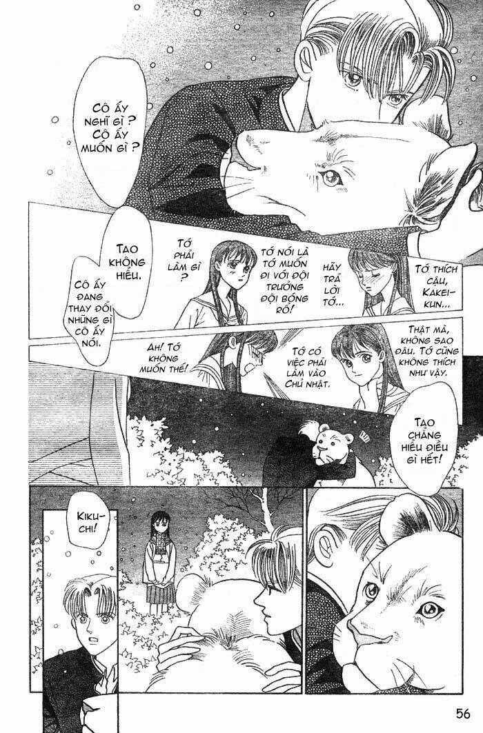 wild cats chapter 1 59