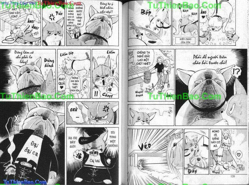 chó con mo mo chapter 5 61