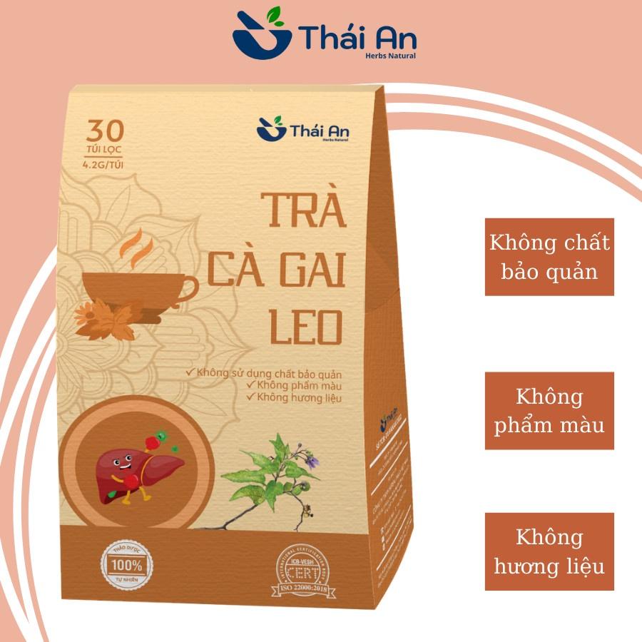 Trà Cà Gai Leo -Trà Thảo Mộc Túi Lọc Hỗ Trợ Sức Khỏe An Thần Ngủ Ngon - Thái An Herbs Natural