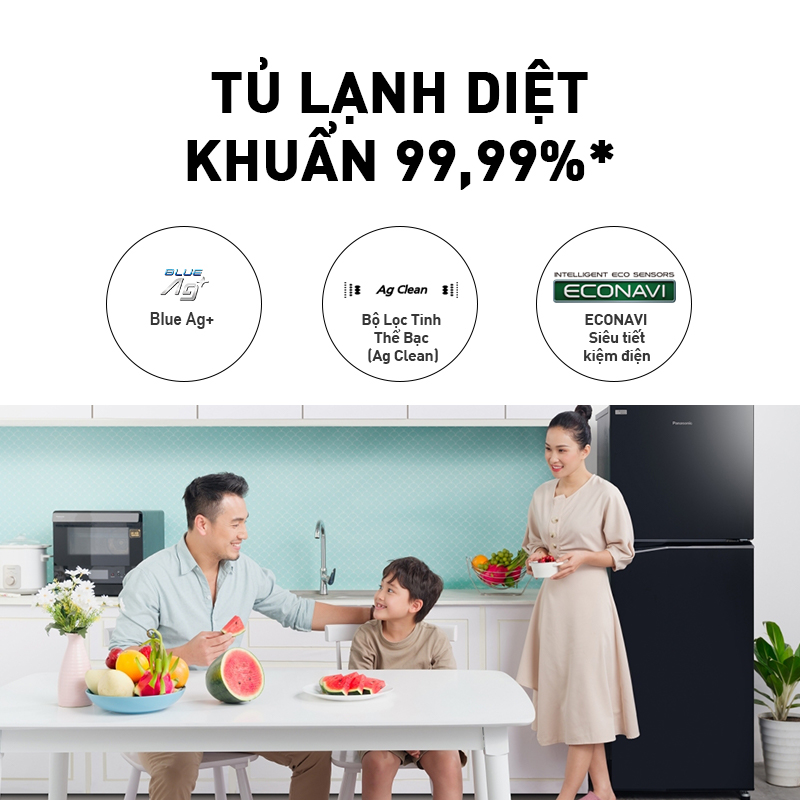 Tủ lạnh Panasonic 2 cánh ngăn đá trên NR-TL381BPS9 - Dung tích 366L - Hàng chính hãng - Giao hàng toàn quốc