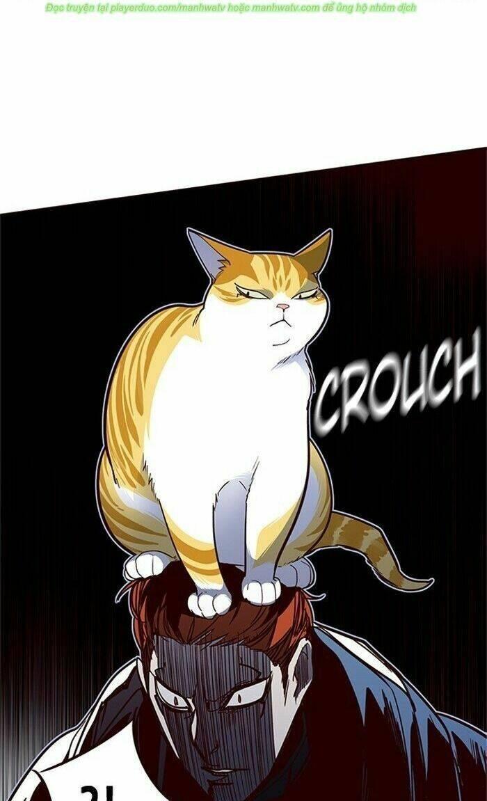 biến thân thành mèo chapter 43 60