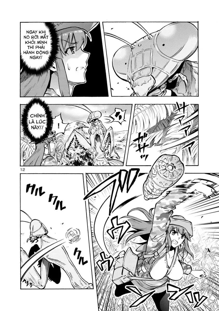 Siêu Đảo Côn Trùng chapter 12.1 12