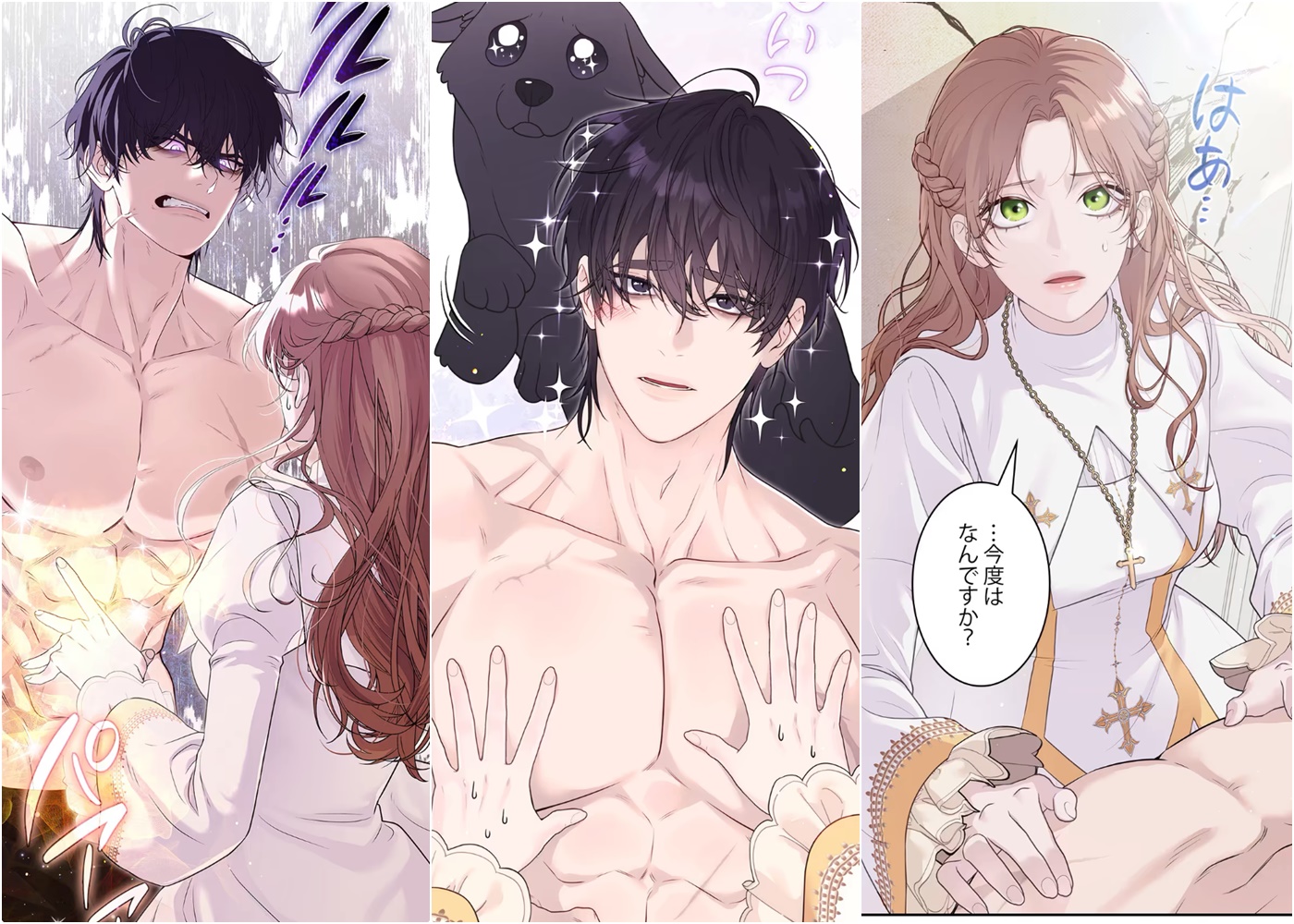 Tôi Sẽ Biến Anh Ta Từ Một Con Chó Điên Thành Một Chàng Quý Tộc chapter 0 3