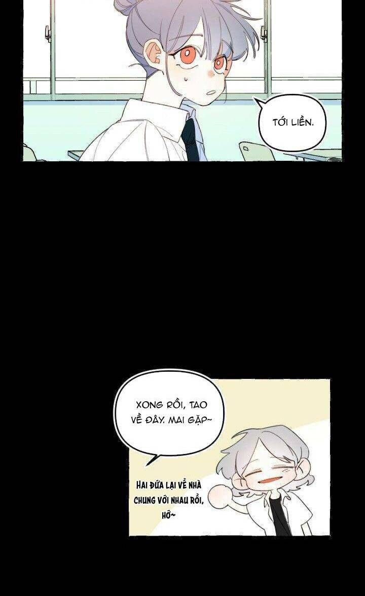 lời yêu thì cần app để dịch không? chapter 11 22