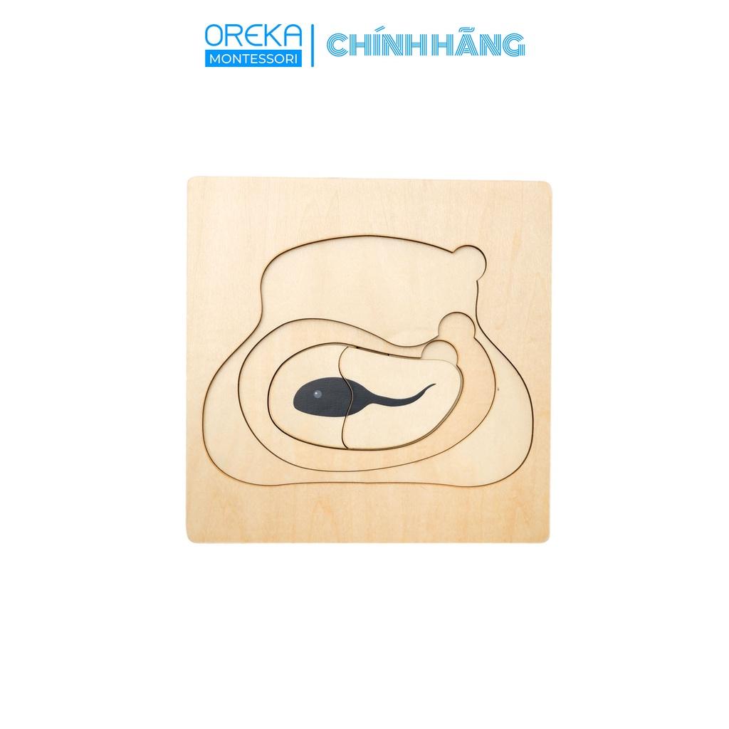 Đồ chơi trẻ em Oreka Montessori Ghép hình động vật:Vòng đời của Ếch - 0641500