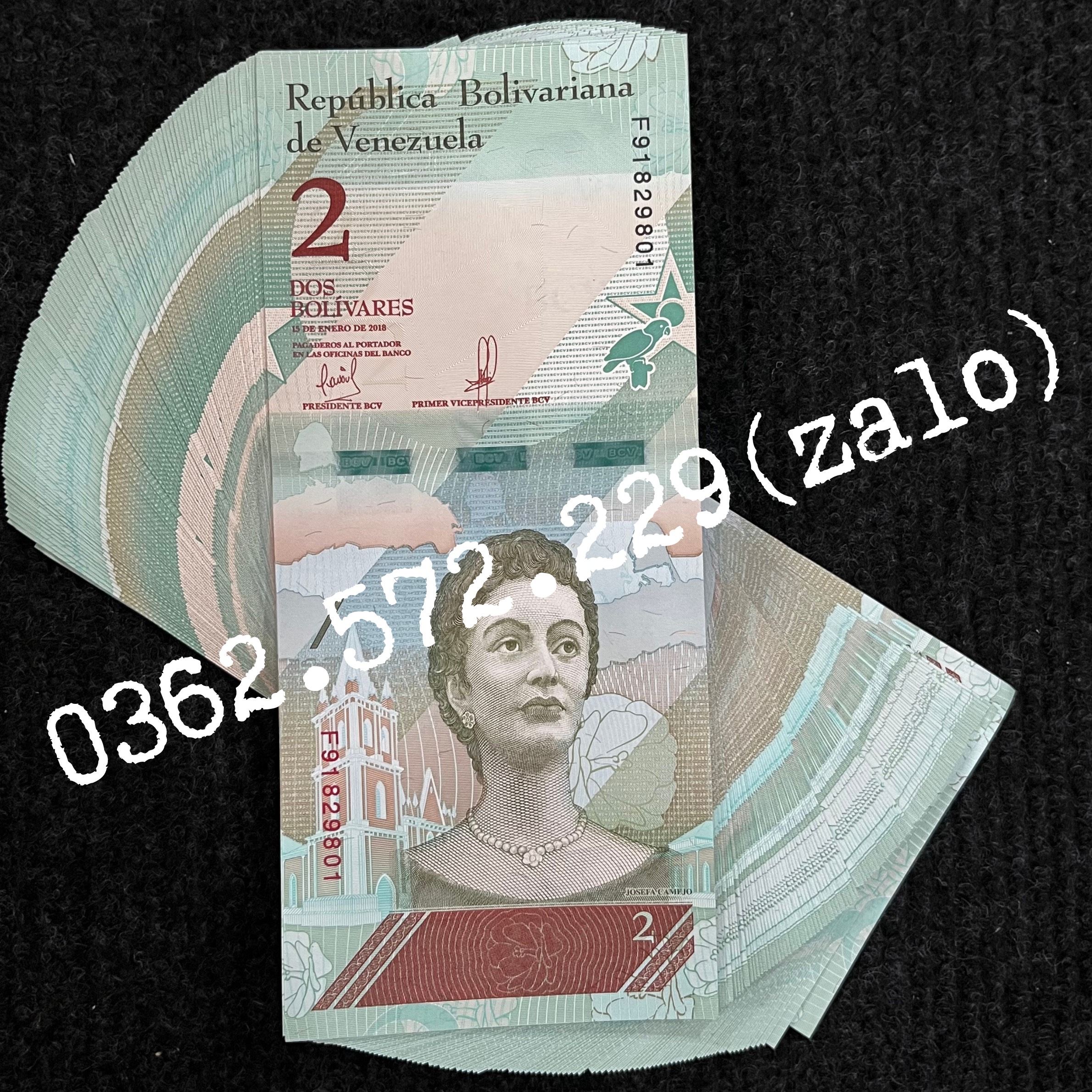 Tiền 2 Bolivares của Venezuela hình con chim két tiền châu Mỹ , Mới 100% UNC