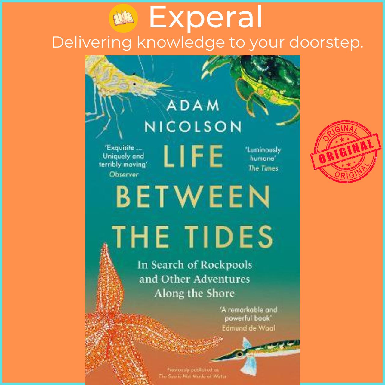 Sách - Life Between the Tides : In Search of Rockpools and Other Adventures Alo by Adam Nicolson