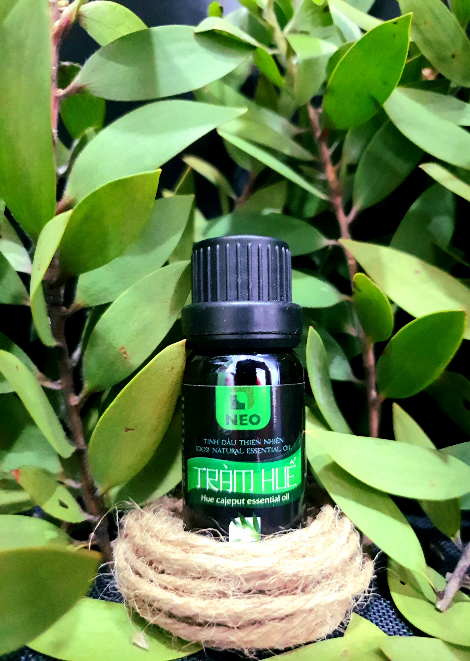 Tinh Dầu Thiên Nhiên Tràm Huế NEO 50ml