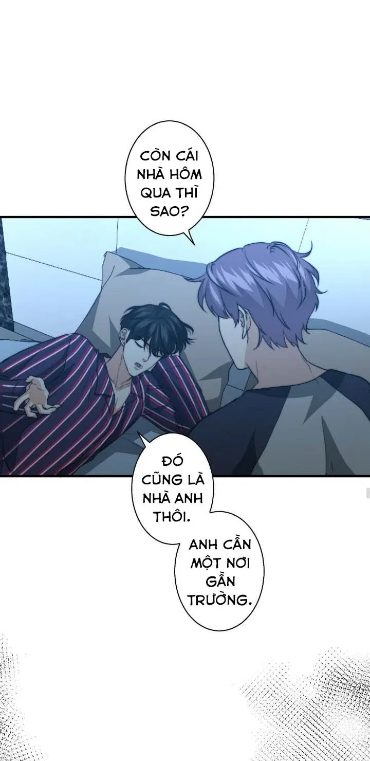 bí mật của omega k chapter 26 51