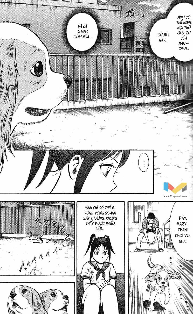 animal sense chapter 5 22