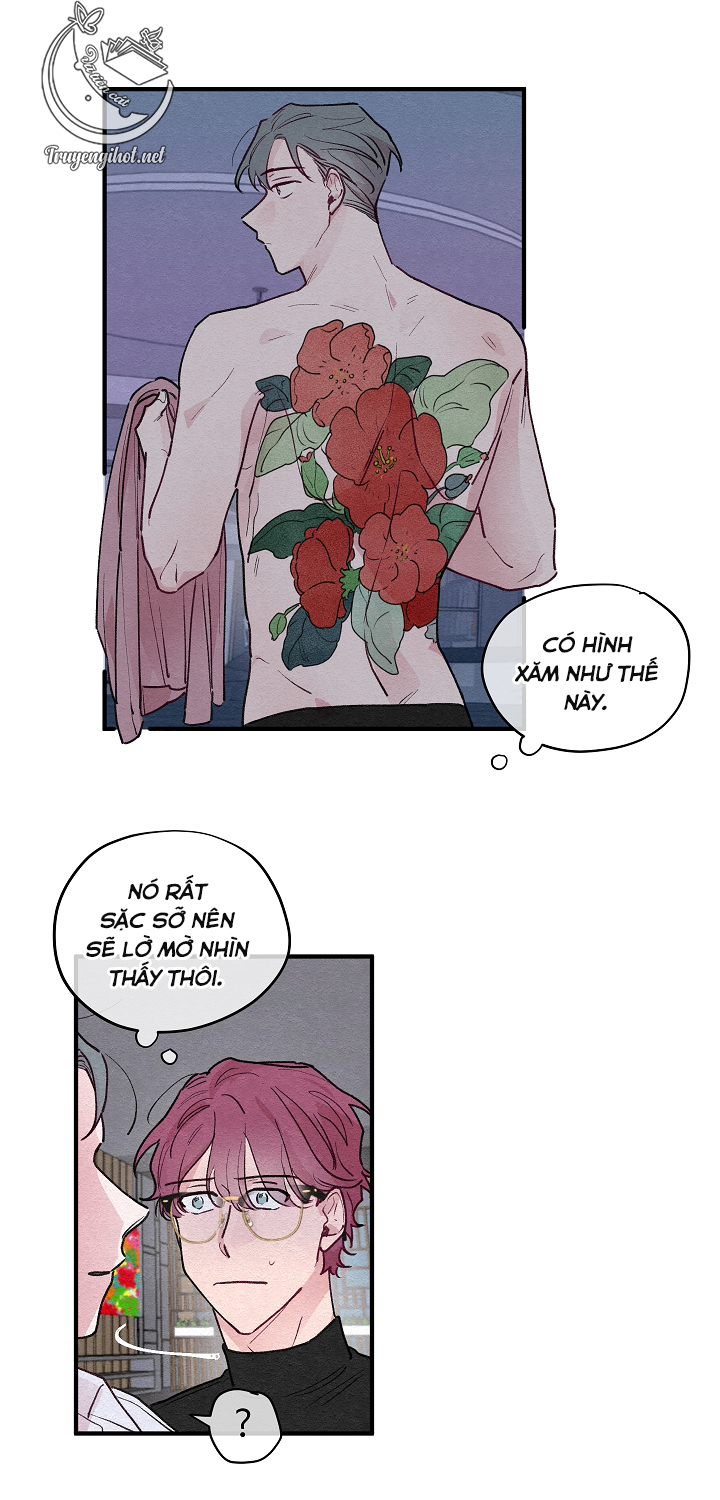 [bl19+] hoa không nở chapter 8 20