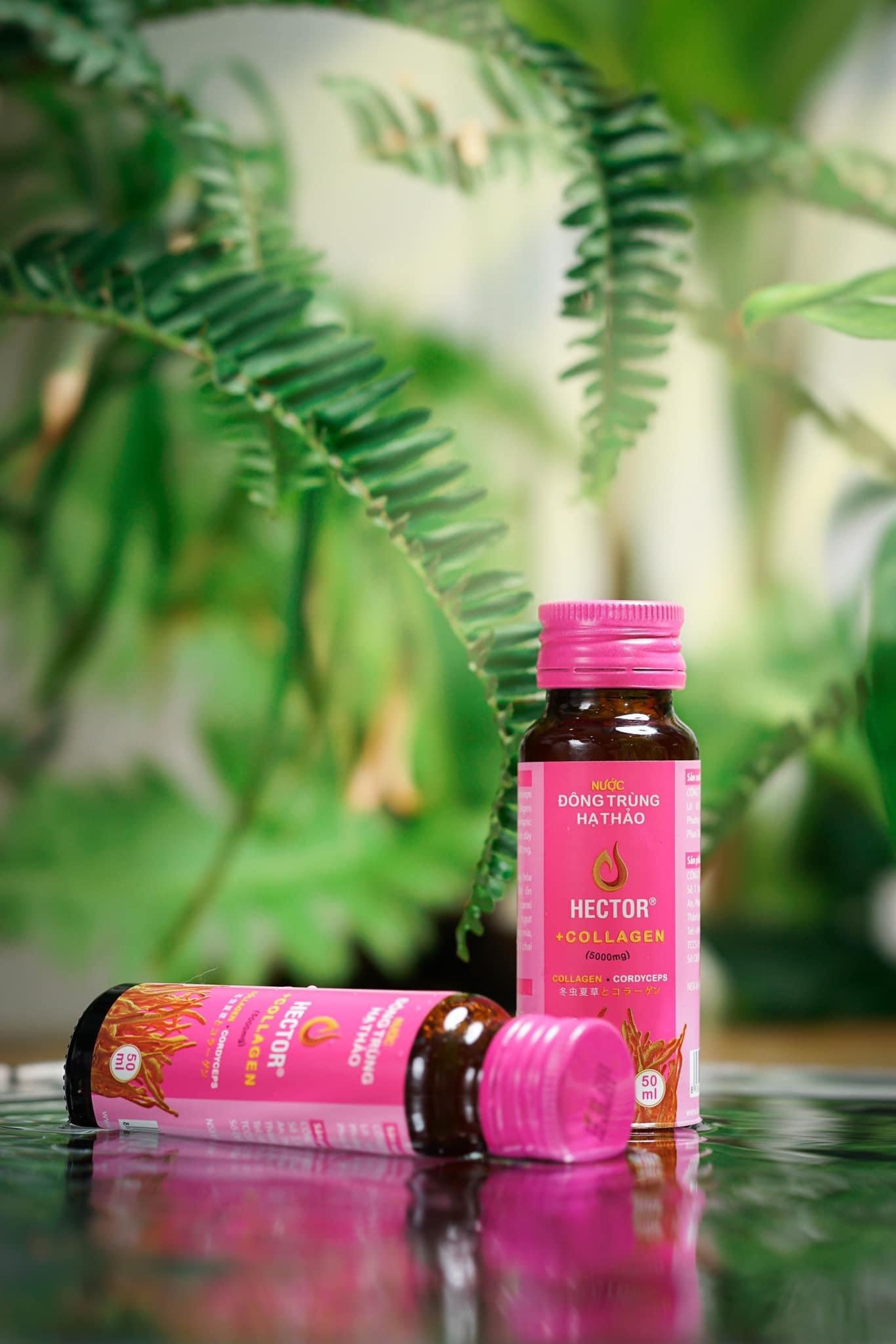 Nước Đông Trùng Hạ Thảo Hector Collagen - Hàng chính hãng