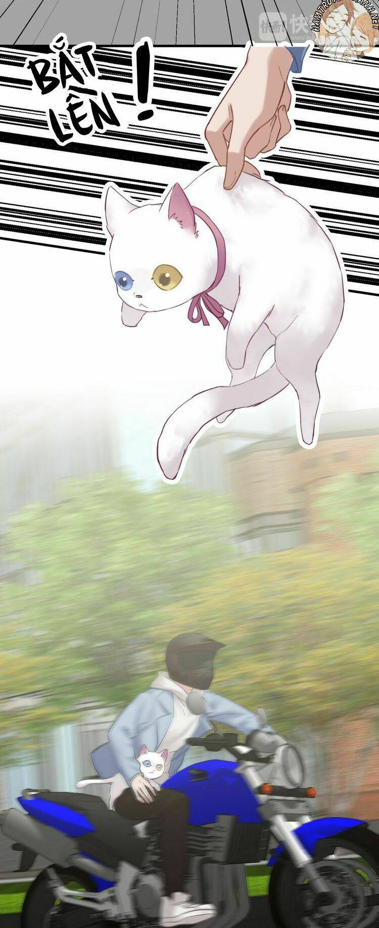 viện bảo tàng tâm nguyện chapter 21.1 17