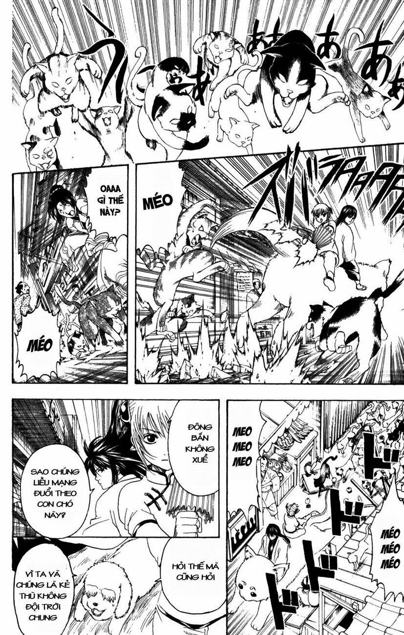 gintama - linh hồn bạc chapter 208 6