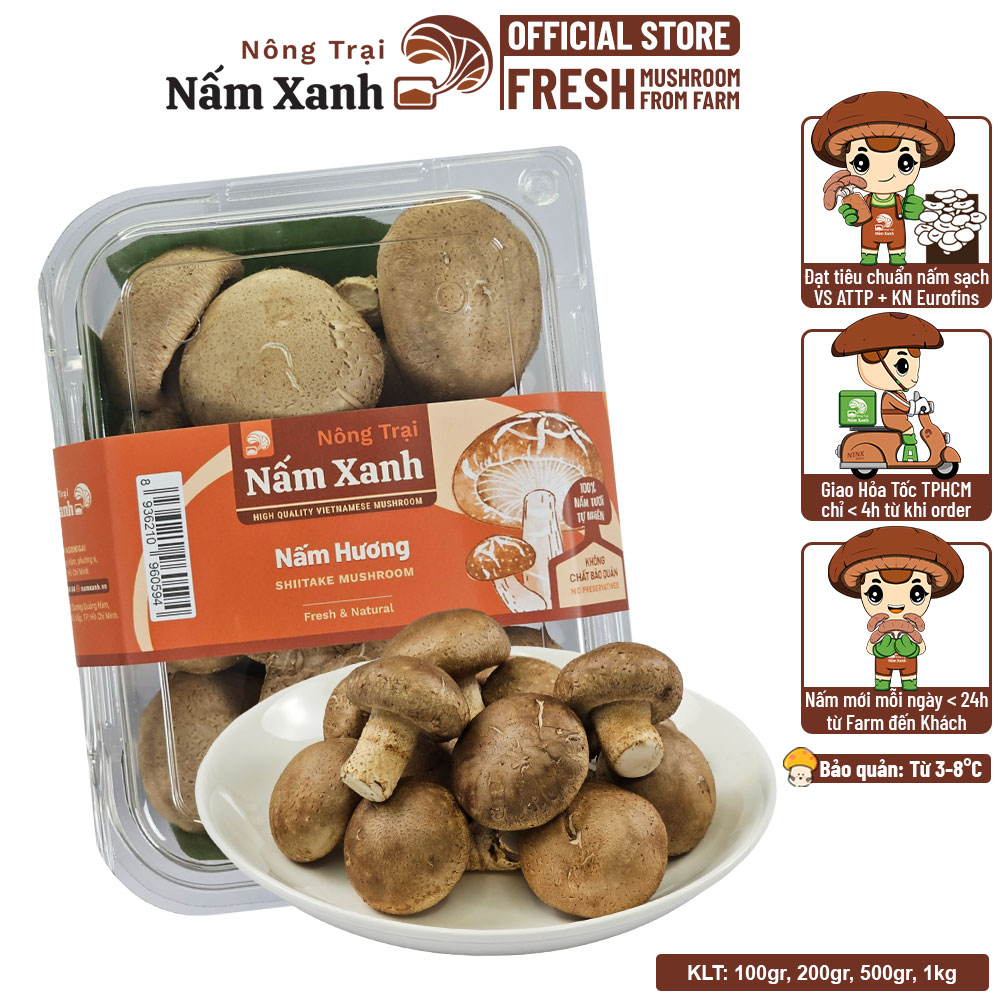Nấm Hương Tươi 100gr 200gr 500gr - Nông Trại Nấm Xanh