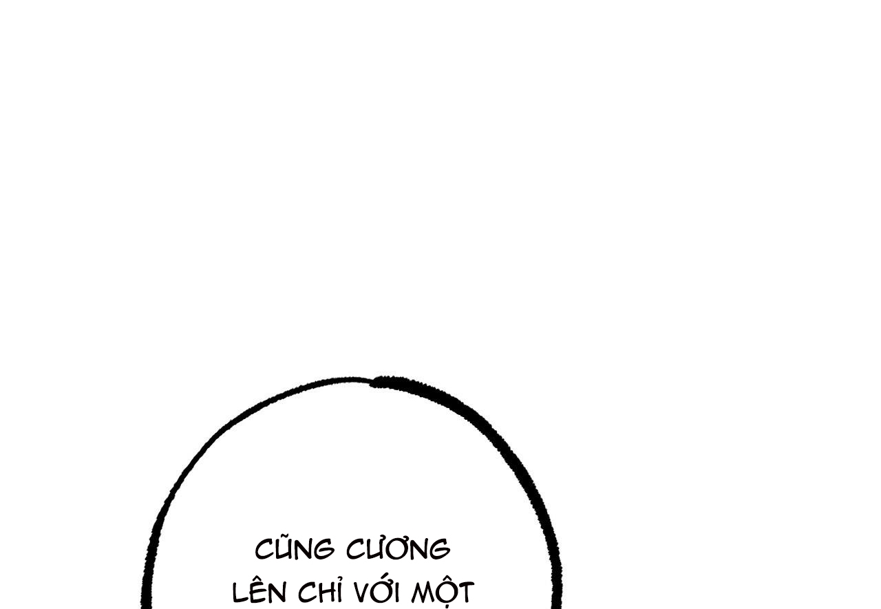 đàn thỏ của habibi chapter 29 29