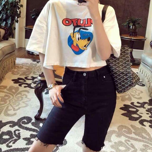 Áo crop top nữ, áo thun teen, áo nữ tay dài áo teen áo hot girl