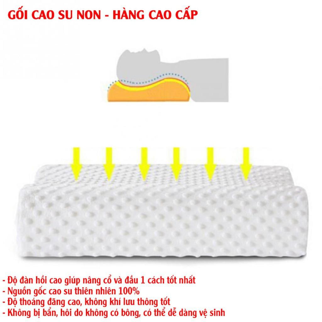 Gối cao su non người lớn