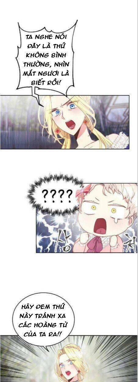 baby dragon chapter 5 31