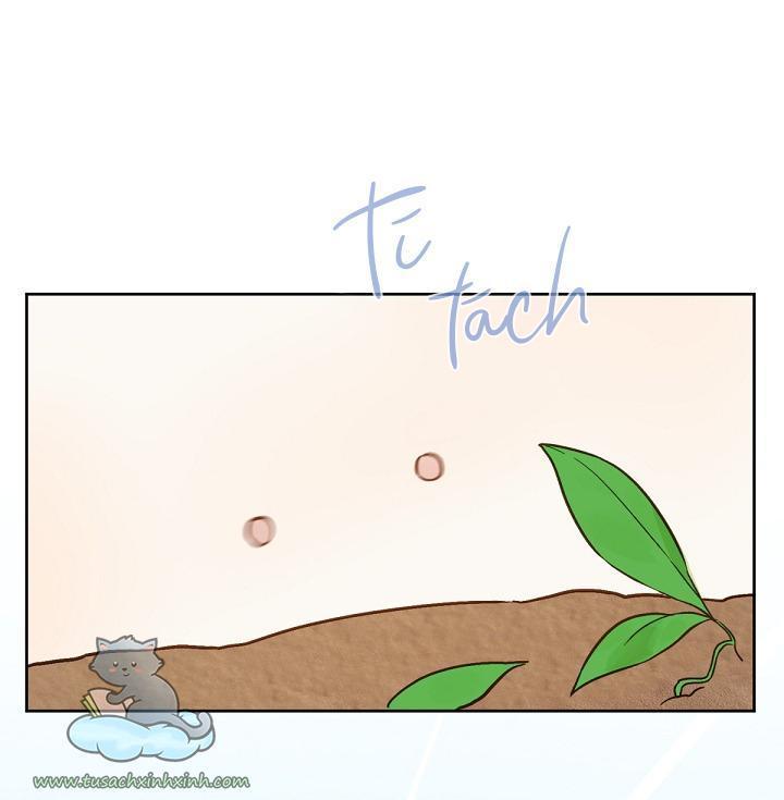 trang trại hạt dẻ cạnh hoàng cung chapter 20 49