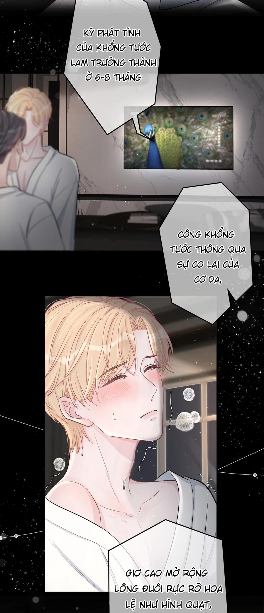 trước và sau ly hôn! chapter 0 30