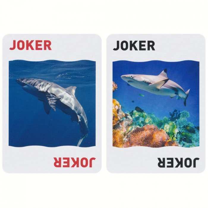 Bài ảo thuật : Bicycle Sharks Playing Cards  S6 in 1