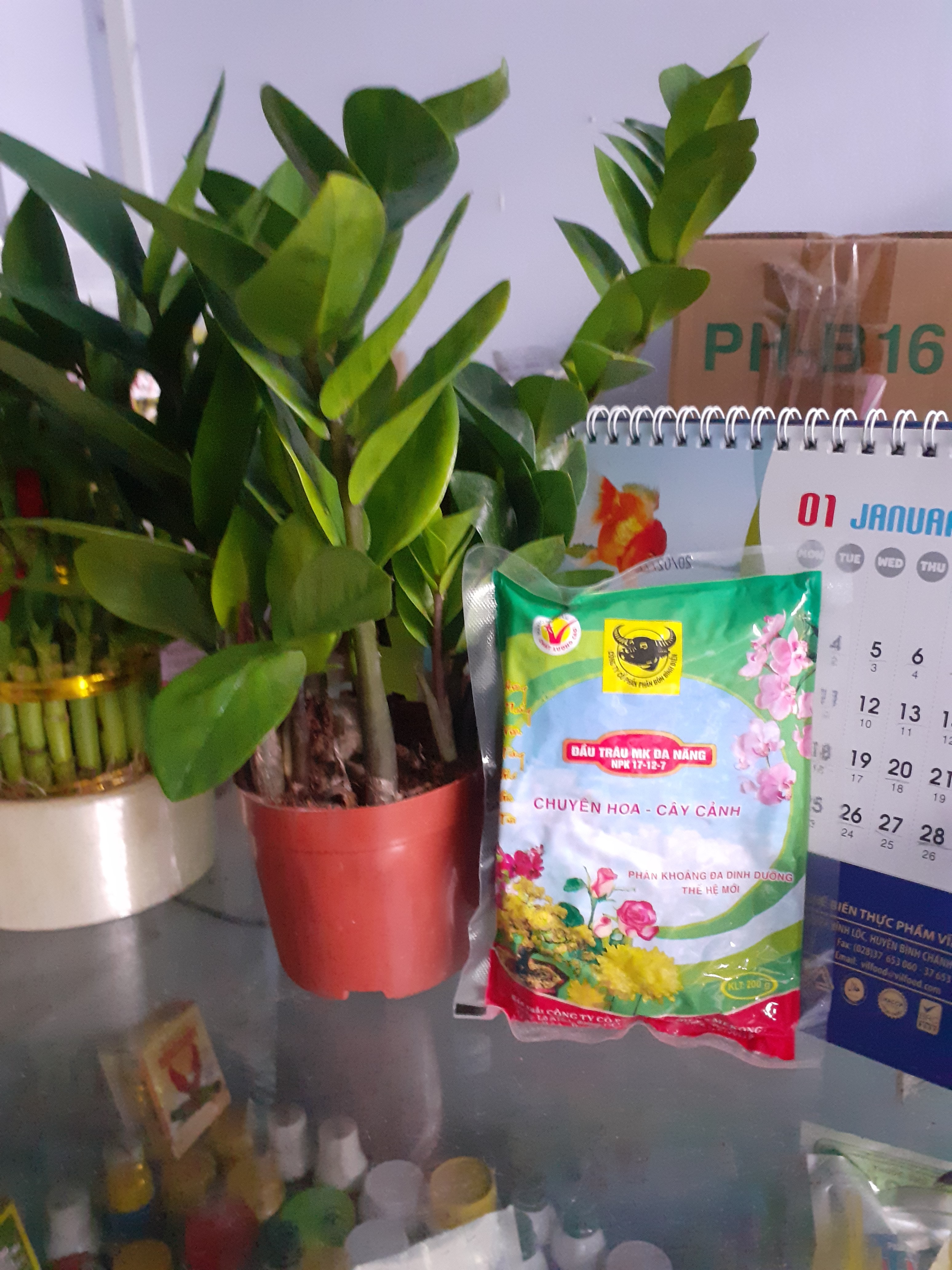 Chuyên hoa cây cảnh đầu trâu đa năng npk 17-12-7