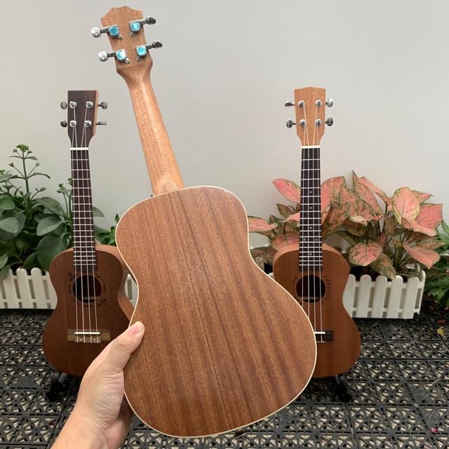 ĐÀN UKULELE CONCERT VIỀN LÚA