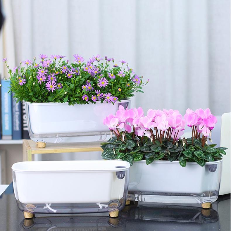 Chậu cây để bàn Oliz Gerta 211. Chậu trồng cây có chức năng tự tưới màu trắng trong