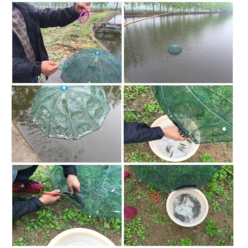 Combo 5 cái lưới bát quái bắt cá 4-6-8-12-16 cửa - combo 5 lưới bát quái